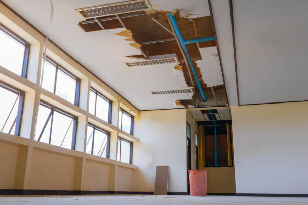 Best Water damage contractors near me  in Pea Ridge, WV