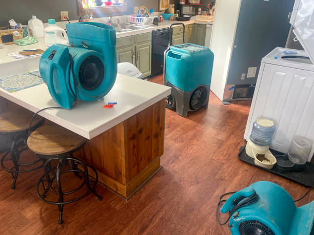 Best Water damage restoration near me  in Pea Ridge, WV