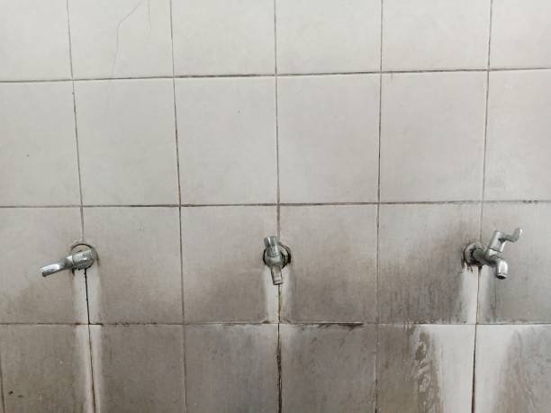 Best Flood restoration services  in Pea Ridge, WV