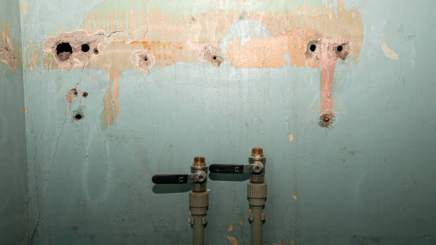 Best Water damage mitigation services  in Pea Ridge, WV