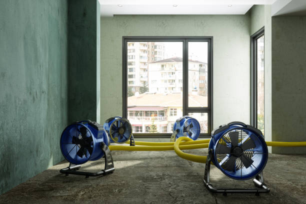 Best Water damage restoration insurance claims  in Pea Ridge, WV